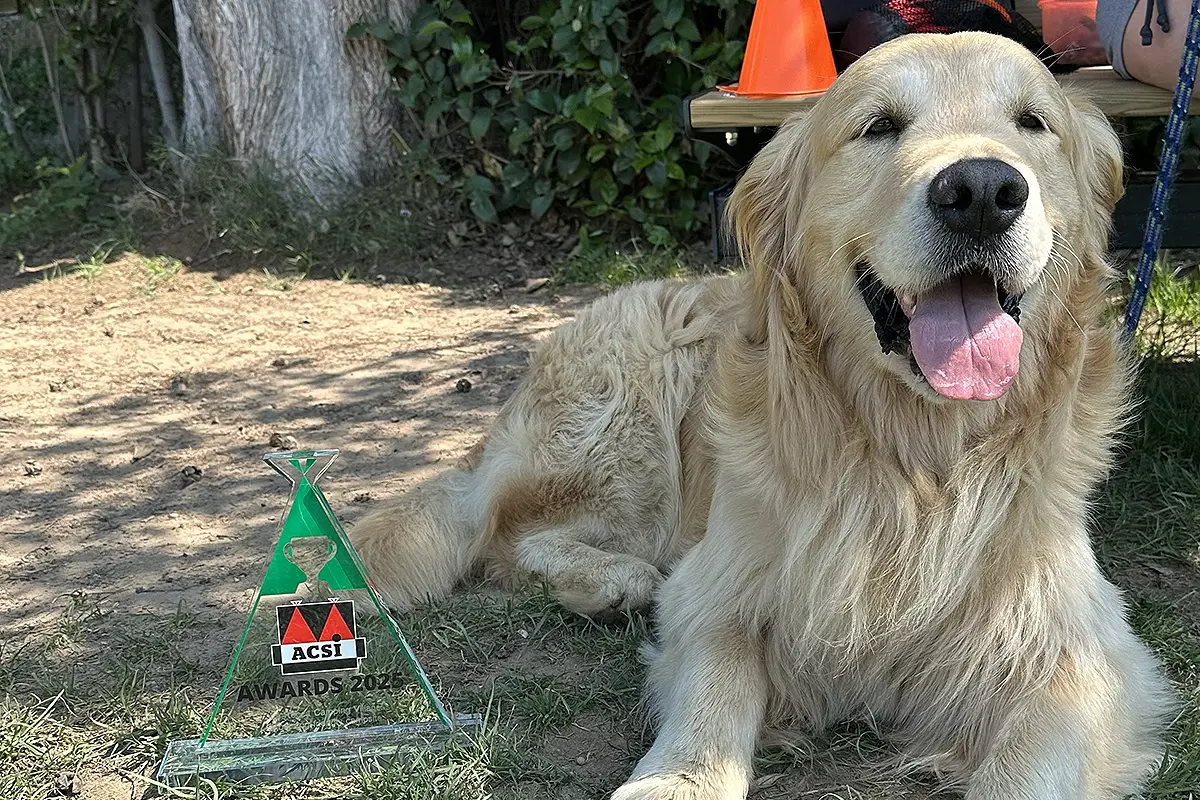 cane in dog area camping la rocca